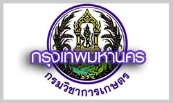 กองการยาง กรมวิชาการเกษตร