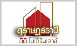 dd modern house suratthani