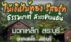 mai-ngern-mai-thong-saraburi