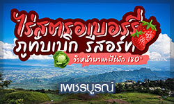 strawberry-home-phutubberk-phetchabun